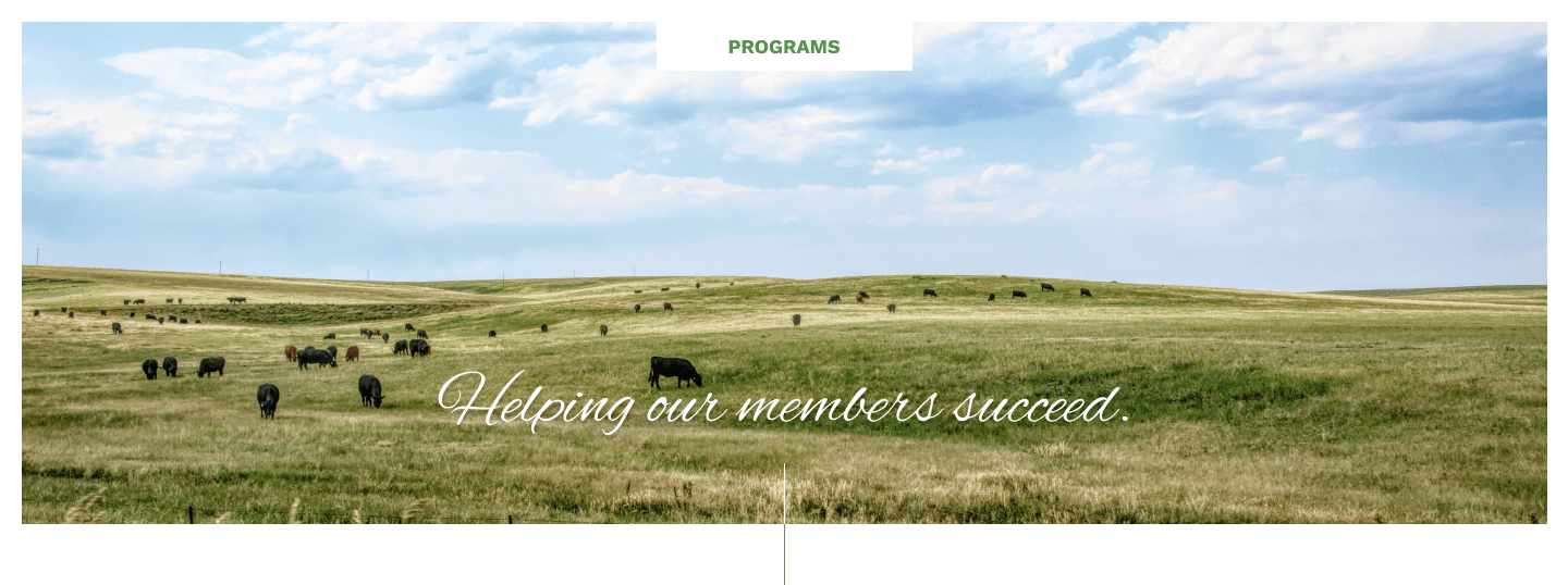 header-programs2