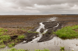 Overflowing irrigation ditch causing flooding in an agricultural field, demonstrating environmental disaster response
