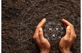 Hands holding a compact ball of soil, with letters.
