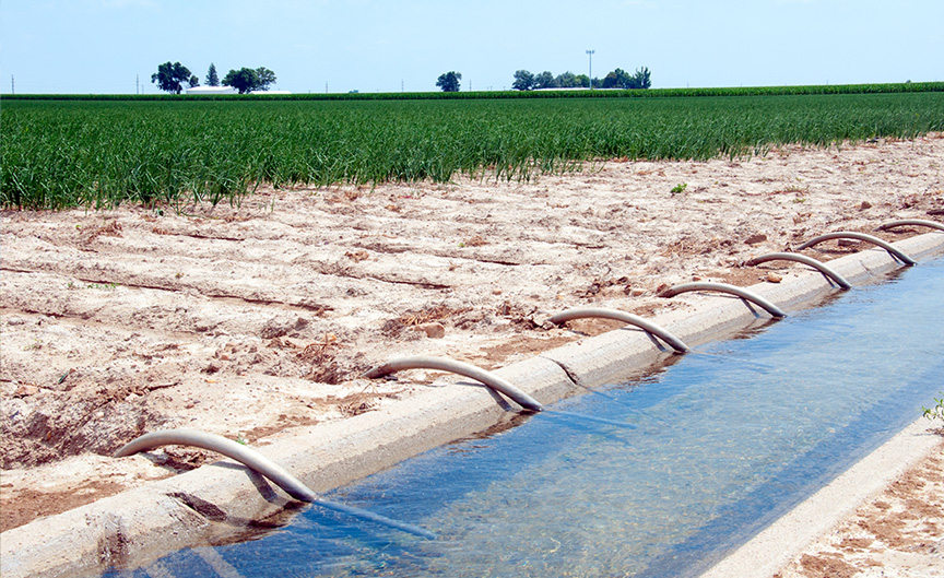 irrigation