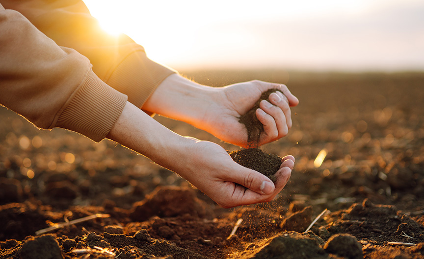 soil-health