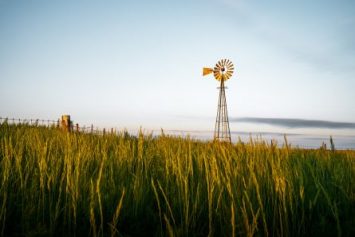 IMG_0146