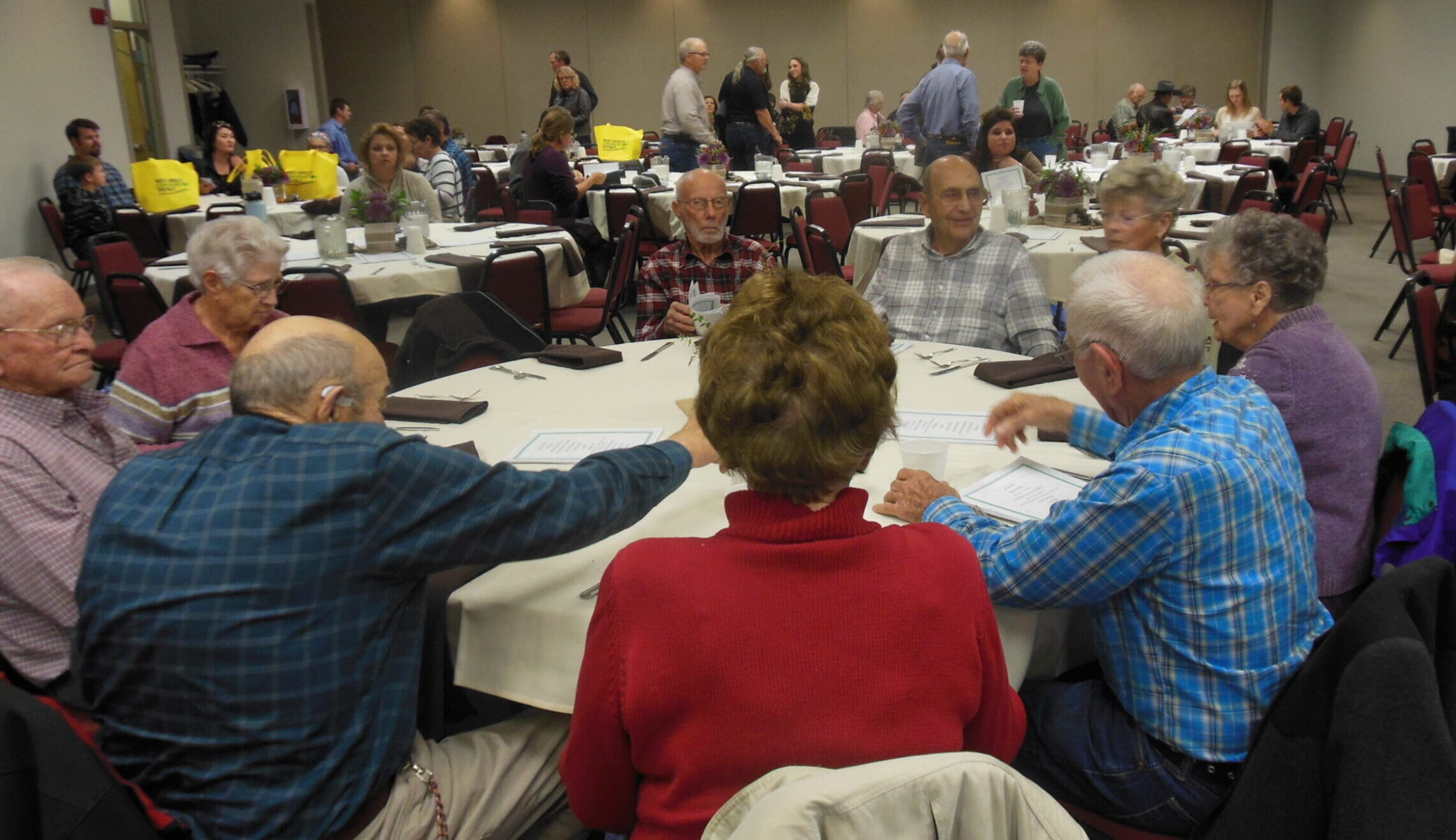 Raised Community Garden Beds with Tomatoes growing.
